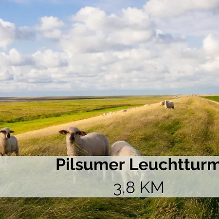 Haus Hamburg Og 아파트